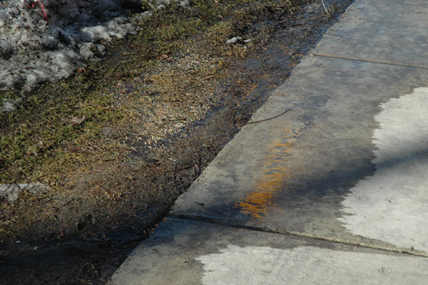 Puddle of Gold