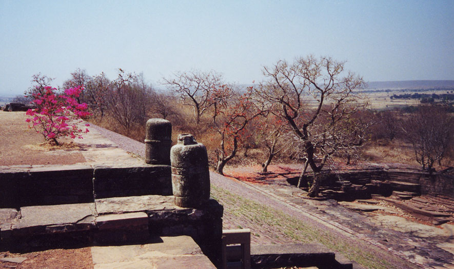 Sanchi - Bush & Dry Pool