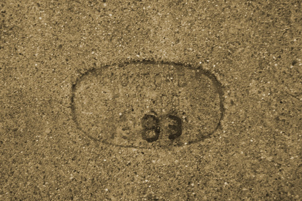 83