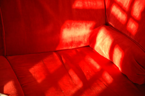 Sunshine 11