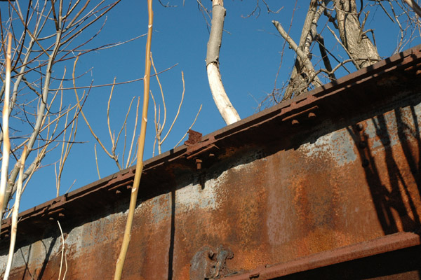 Abandoned Trestle 4