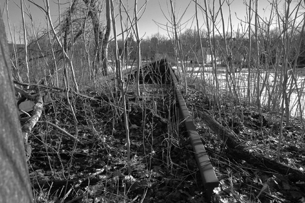 Abandoned Trestle 5