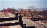 Sanchi - Bush & Dry Pool