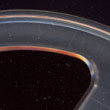 Reel 1 Detail