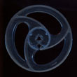 Reel 5