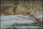 Hobo Path