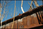 Abandoned Trestle 4