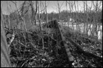 Abandoned Trestle 5