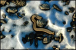 Steel in Snow 2